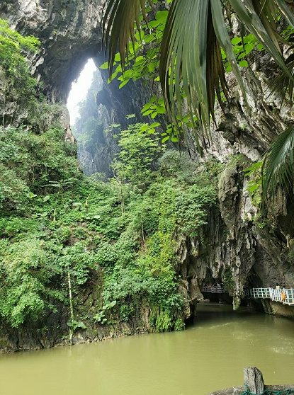 微信截图_20250310075444.png